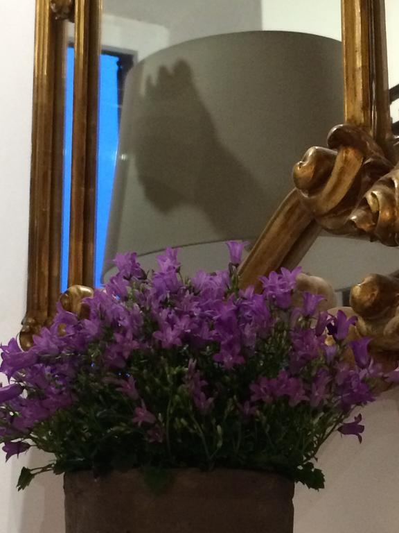 Bed and Breakfast Le Stanze Del Cardinale Pavia Exterior foto